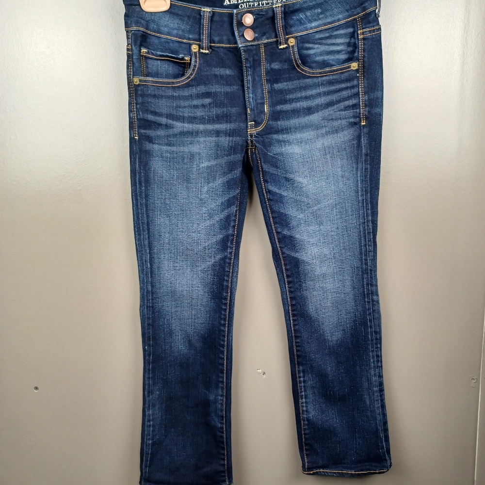 Aeo artist cropped pants